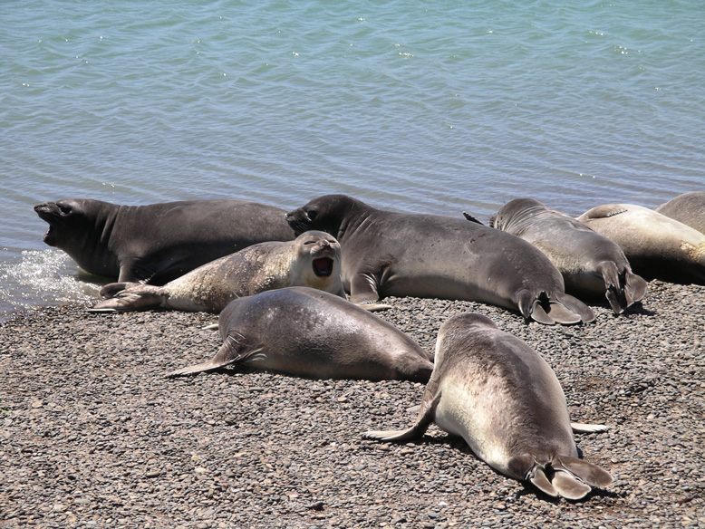 luego me contais de que iba el chiste..